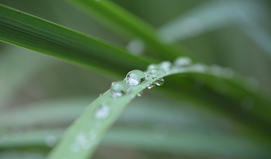 BRIEF: How Droplets Can Act Like Solids