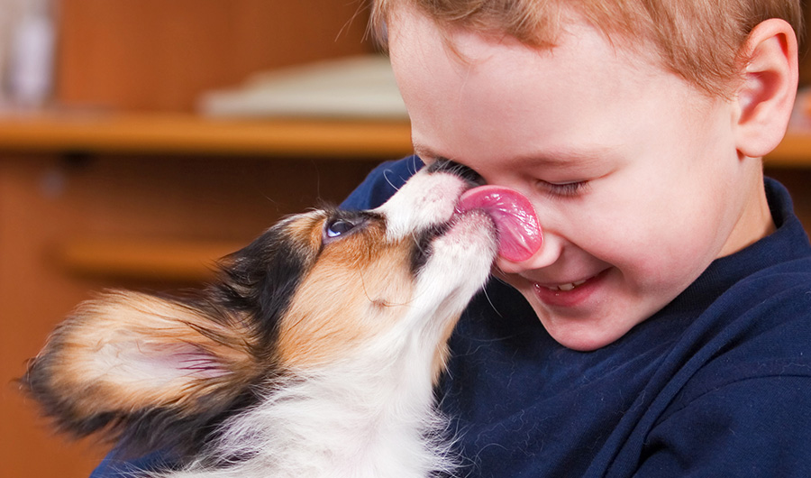 A small dog, licking a boy's nose