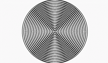An animated gif showing a Moiré pattern generated by two overlapping sets of concentric circles.