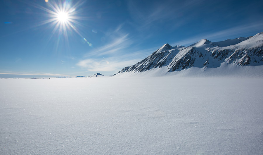 Star Dust in Antarctic Snow
