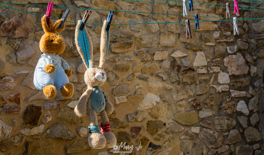 stuffed animals hang on the line to dry after a thorough disinfecting