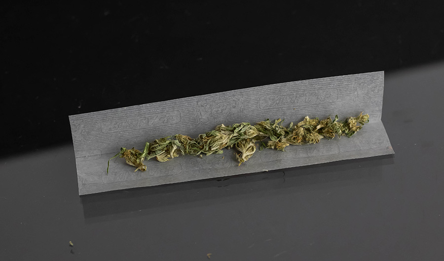 Cannabis buds in rolling paper. 