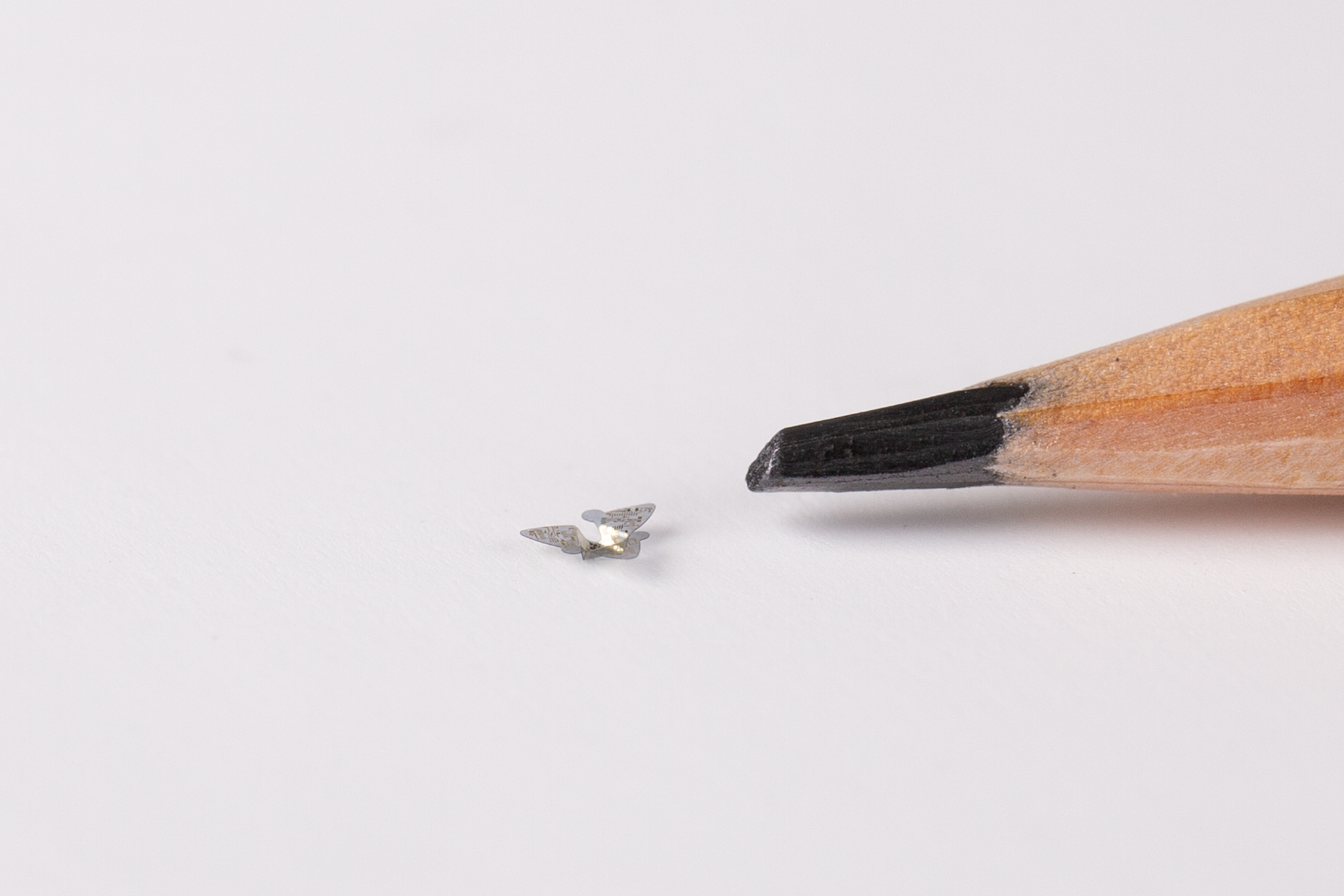 A microflier next to a pencil tip