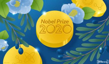 Nobel 2020 artwork