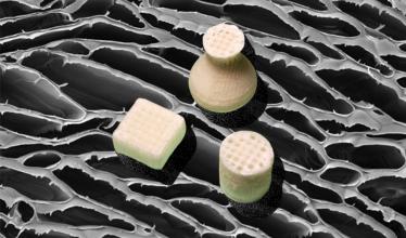 3D-printed aerogels on a background that shows the porous structure