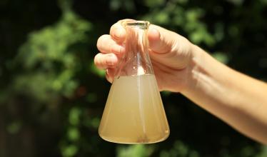 Image shows a hand an forearm coming into the frame from the right edge, with the hand wrapped around the top of a flask full of cloudy, brown water