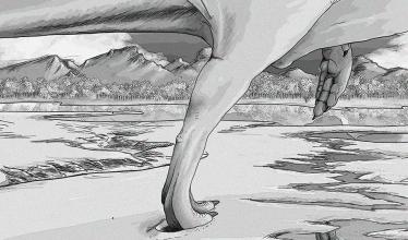 Artist's pencil-style drawing of a close-up of a theropod dinosaur's legs and torso, traveling through a seashore area, with mountains in the background.