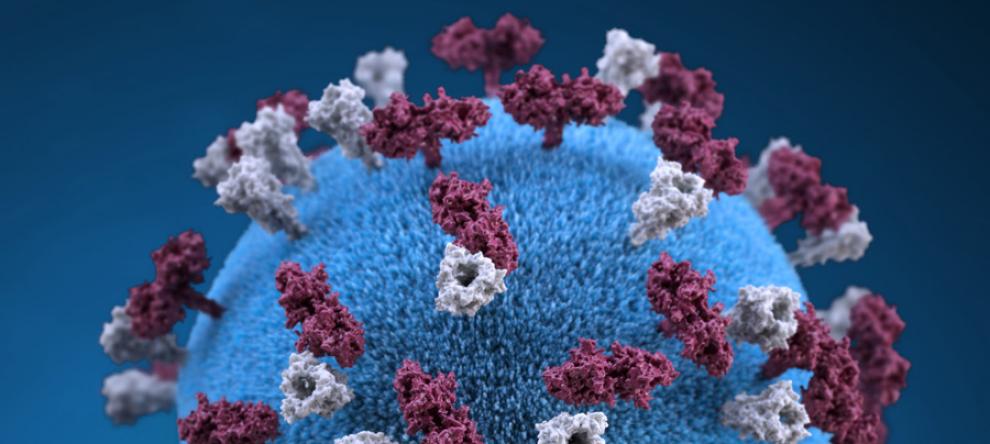 Illustration of a measles virus particle